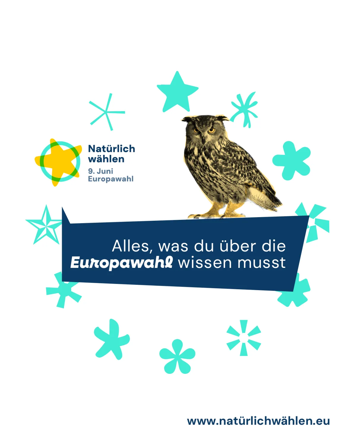 Das Bild zeigt den Link zur Kampagnewebseite und eine Schneeeule. 